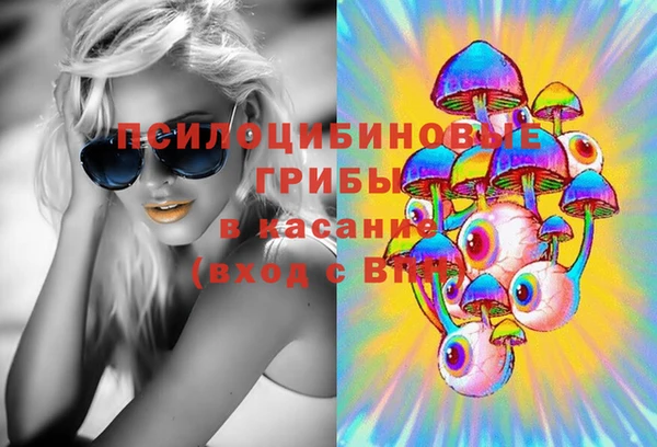 стаф Нефтекумск