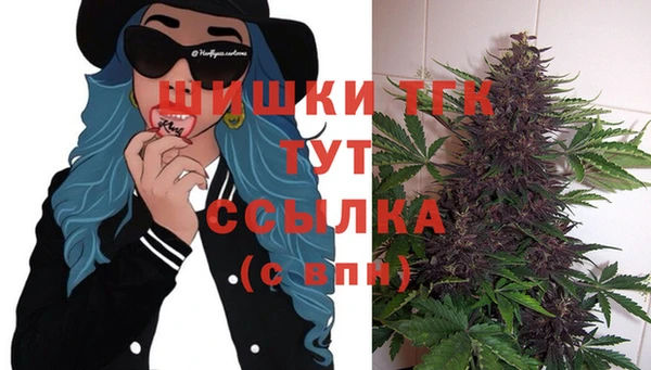 гидропоника Новокубанск