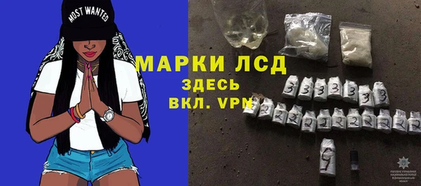 стаф Ростов