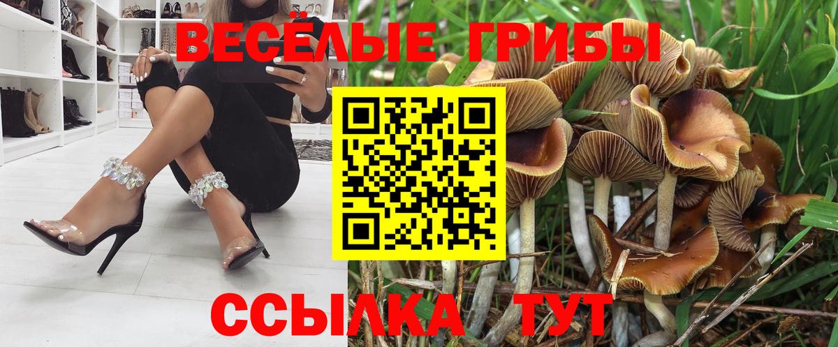 Галлюциногенные грибы мицелий  Вход с VPN  Стрежевой 